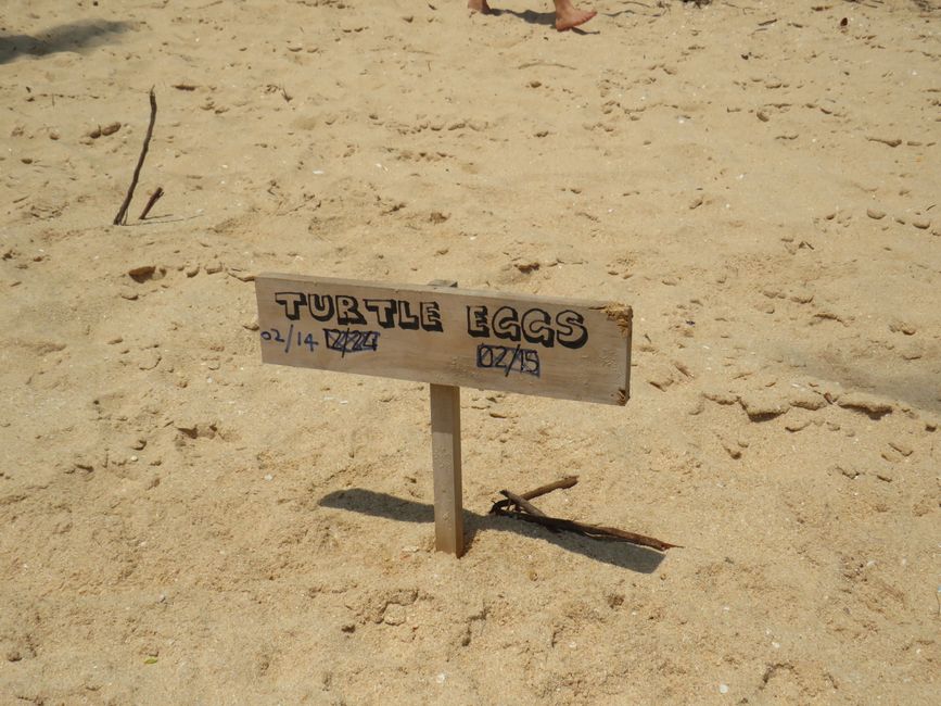 Tangalle - Folie de Plage