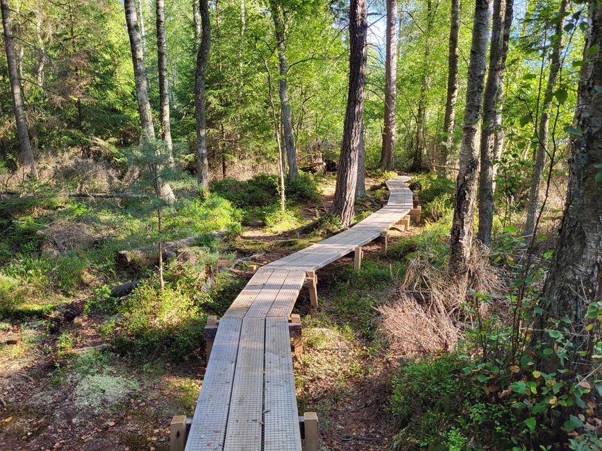 Naturschutzgebiet Notteryd