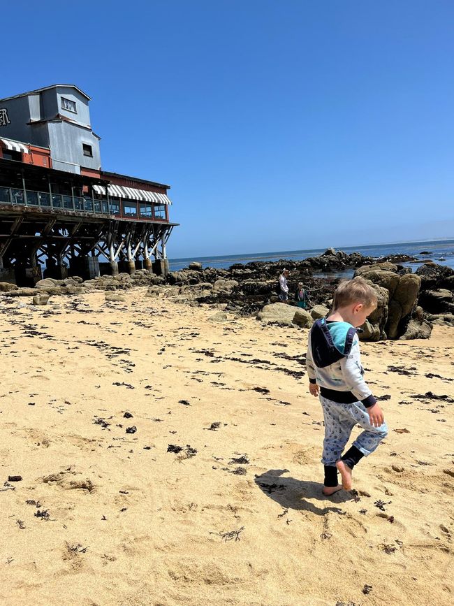 Monterey