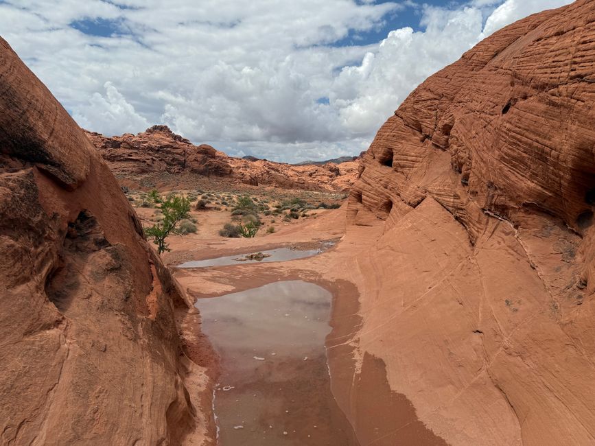 White Domes Trail