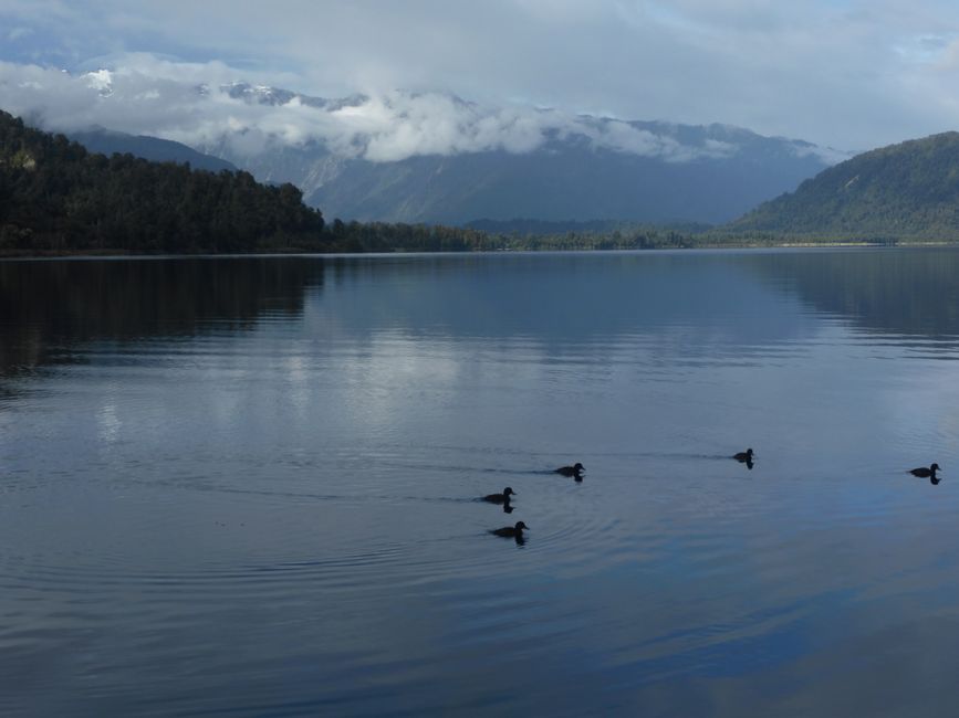Le matin au Ottos Corner, Lake Mapourika 