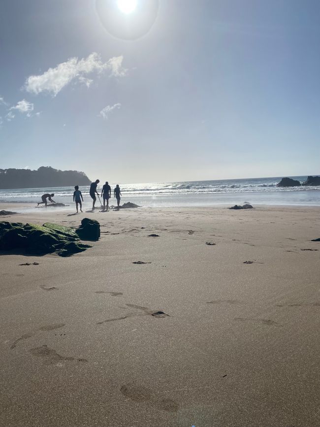 Coromandel loop