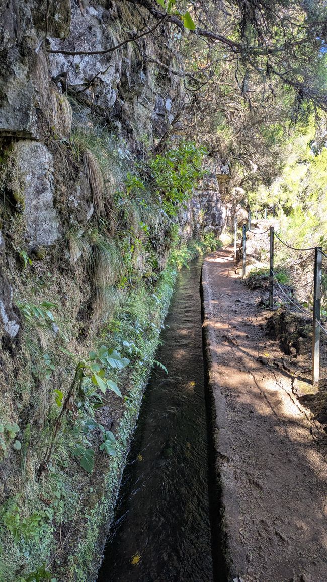 Tag 11: Levada do Alecrim und ein Open Air Festival