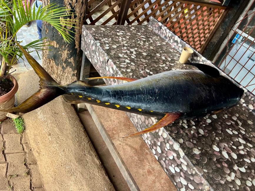 Und wenig später wird der frisch gefangene Fisch direkt an der Straße geteilt und verkauft 