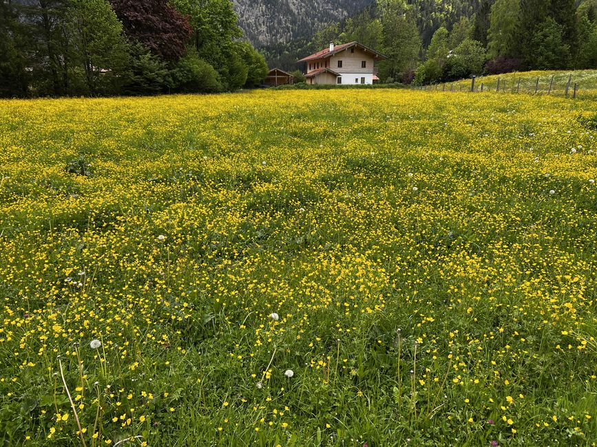 Mittenwald, Oberammergau und die Alpen