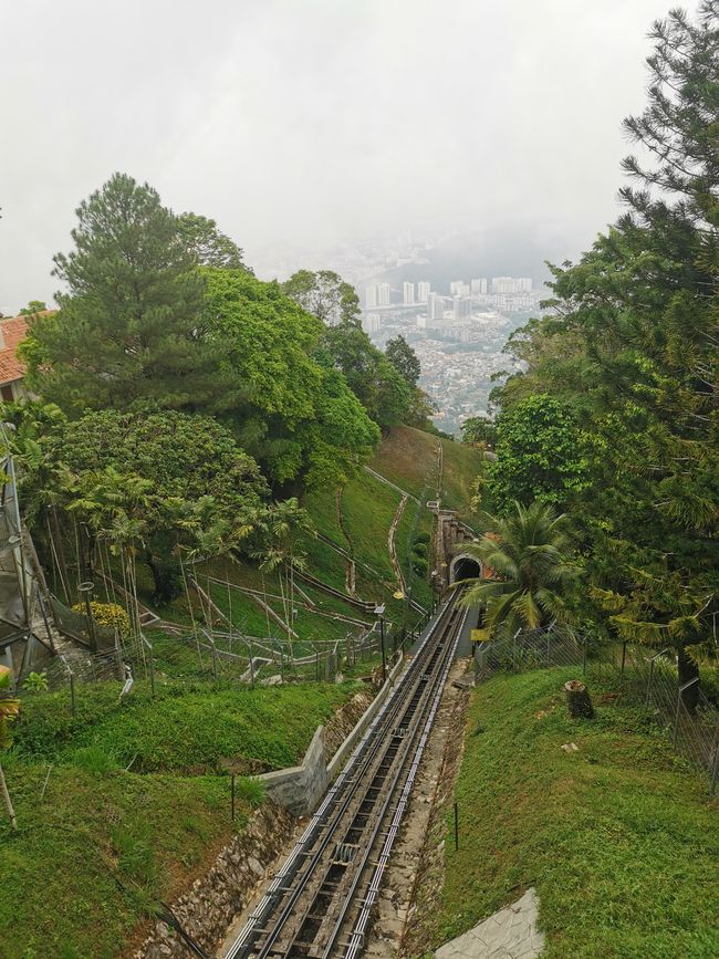 槟城山生物圈保护区的意外徒步旅行