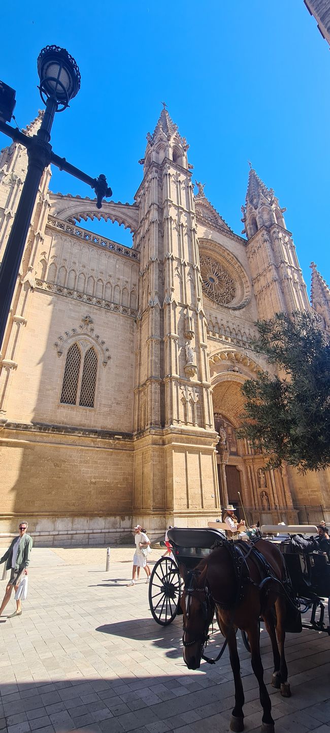 Das Finale von Pollenca nach Palma