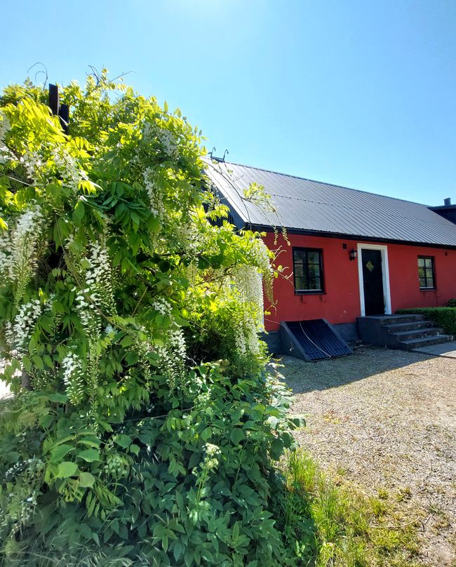 Kåseberga 