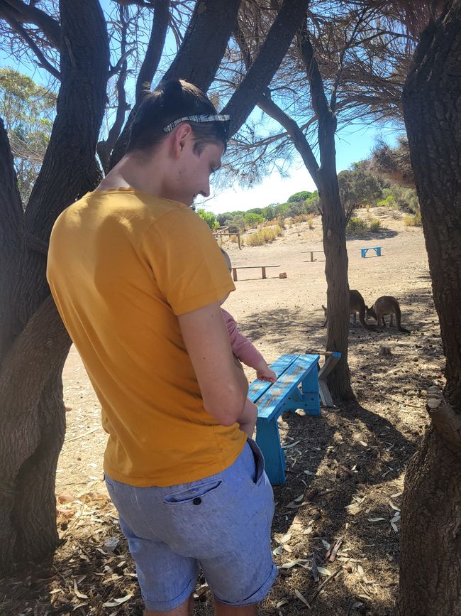 Kangaroo Island with Baby M.