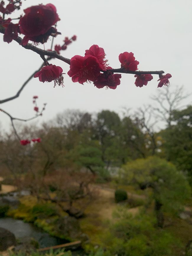 Himeji