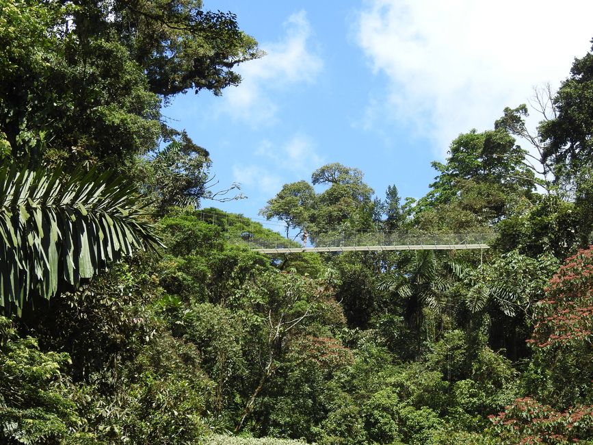Arenal con sombrero