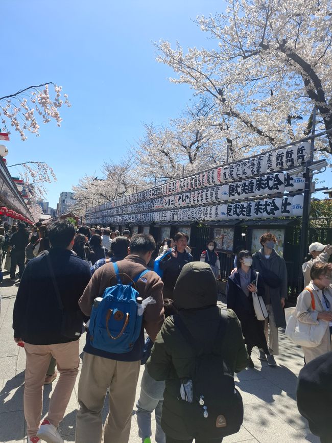 Sightseeing Tag