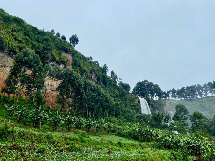 Jardín de rocas y cascadas