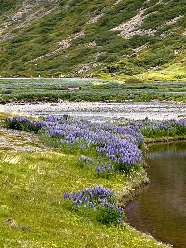 Continuamos por los Fiordos del Oeste