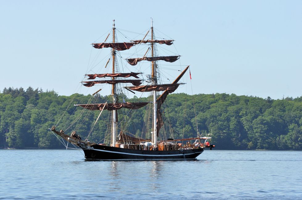 Fahrt zur Rum-Regatta in Flensburg 2017
