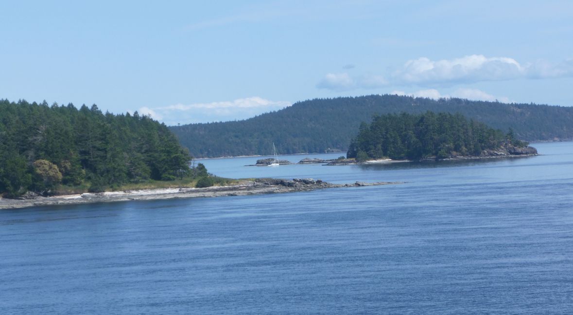 2025-05-21 Vancouver Island Wwoof