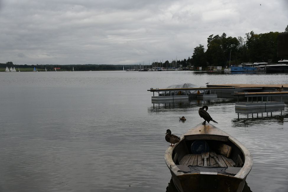 Viaggio in Masuria ad agosto 2024