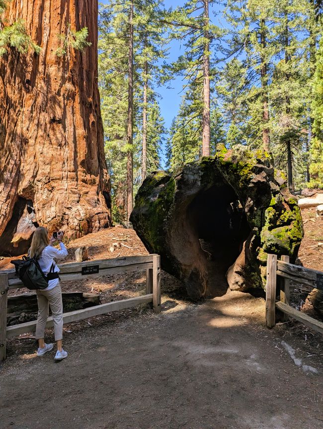 Parque Nacional Kings Canyon