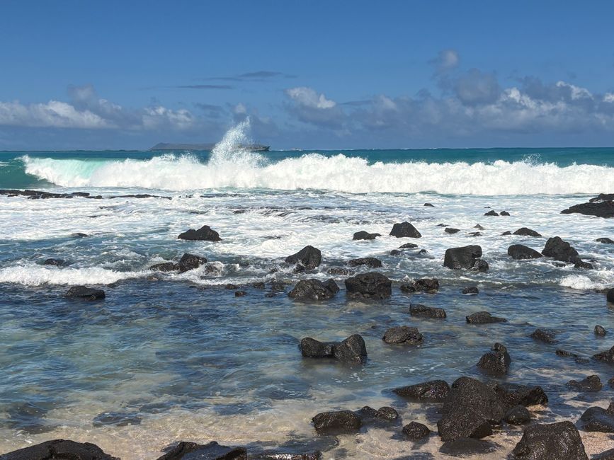 Isabela (Galápagos)