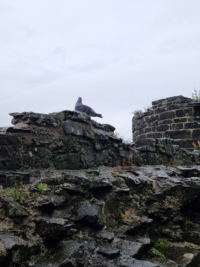 Castillo de Conwy