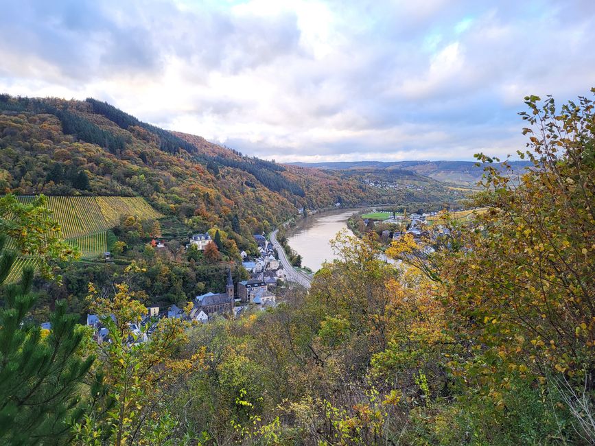 Blick auf Mosel und Traben-Trarbach 