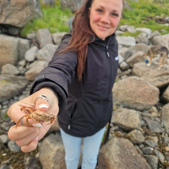 Offersøy