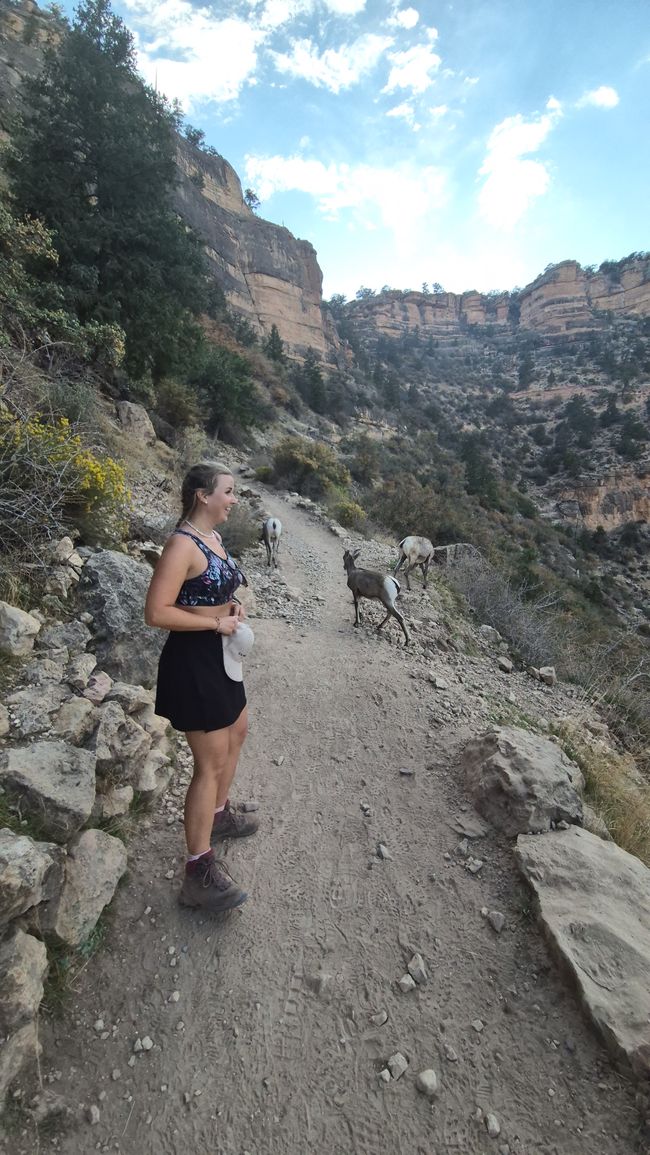 30.09. Grand Canyon - Bright Angel Trail