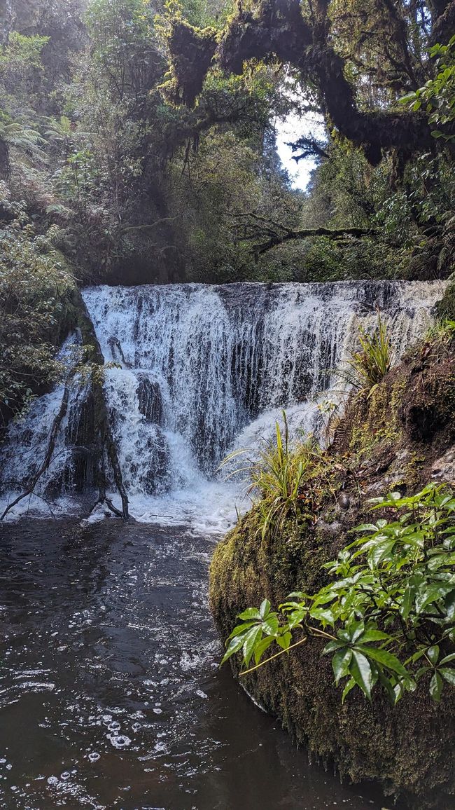 Waipohatu waterfall