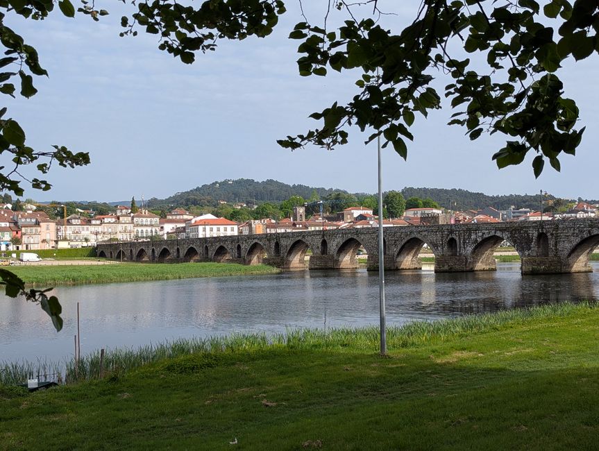 Biotopo dei pellegrini in Portogallo (Camino Portugues 4)