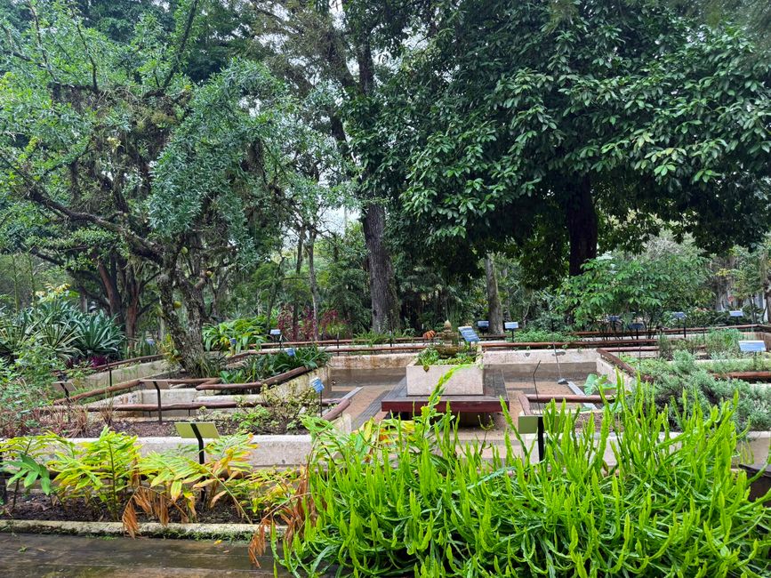 A lush botanical garden with dense tropical trees, labeled plant beds, and neatly arranged greenery. The scene feels calm and peaceful, with a well-maintained, educational garden atmosphere.