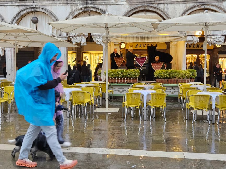 Die Musiker auf dem Markusplatz spielen auch bei Regen weiter 