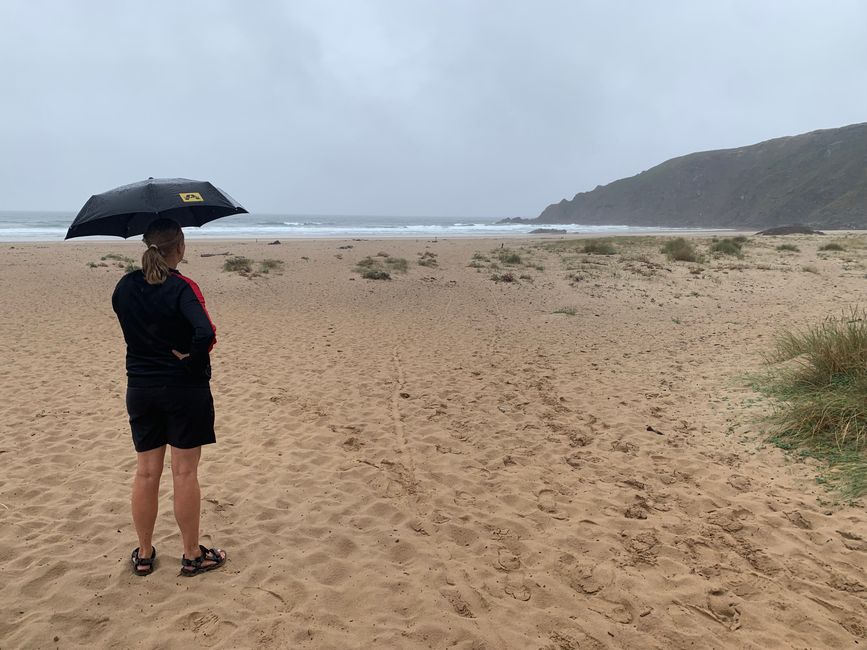 La lluvia
