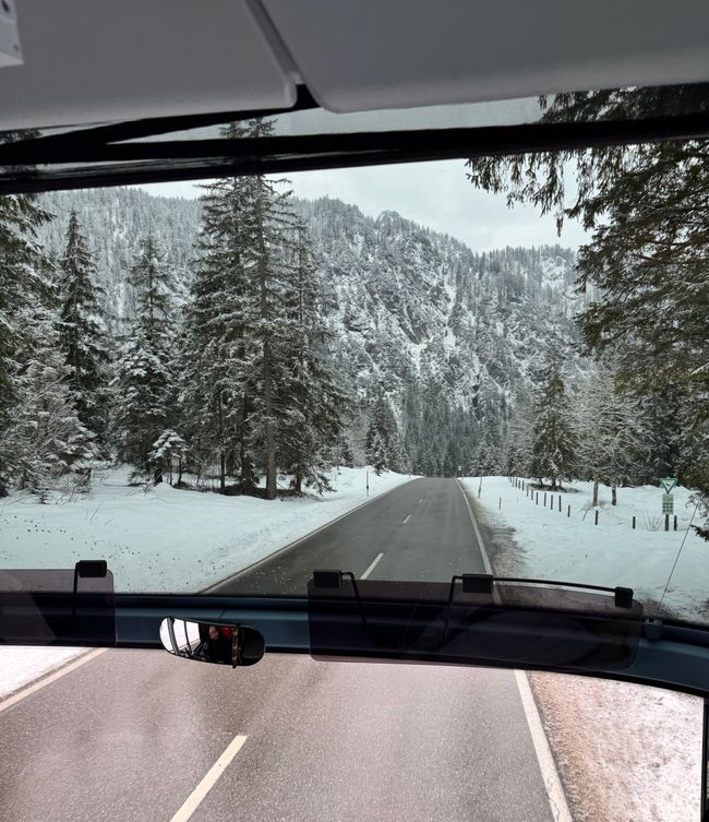 终于下雪了⛷️❄️☃️🌨️