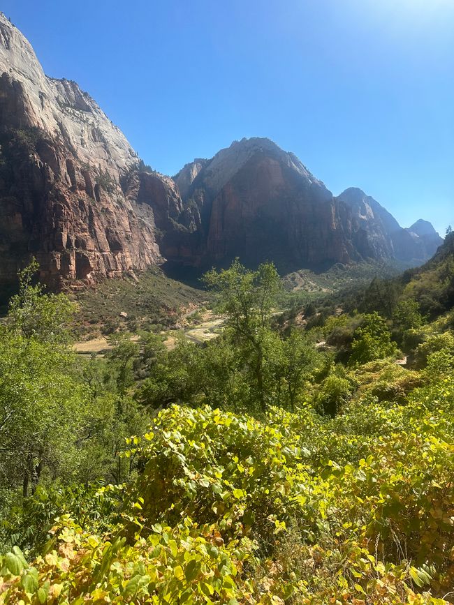 Canyon Land: Zion and Bryce Canyon❤️