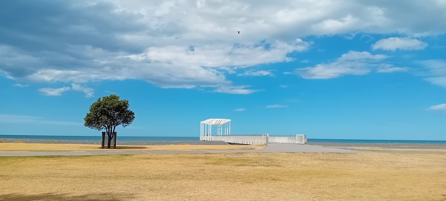 Napier