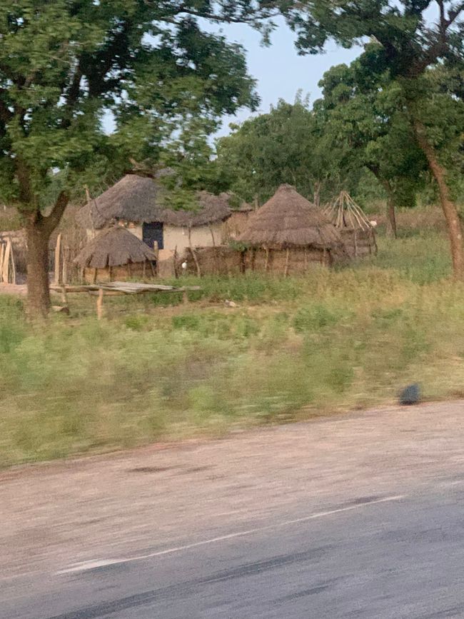 Mole Nationalpark & Larabanga