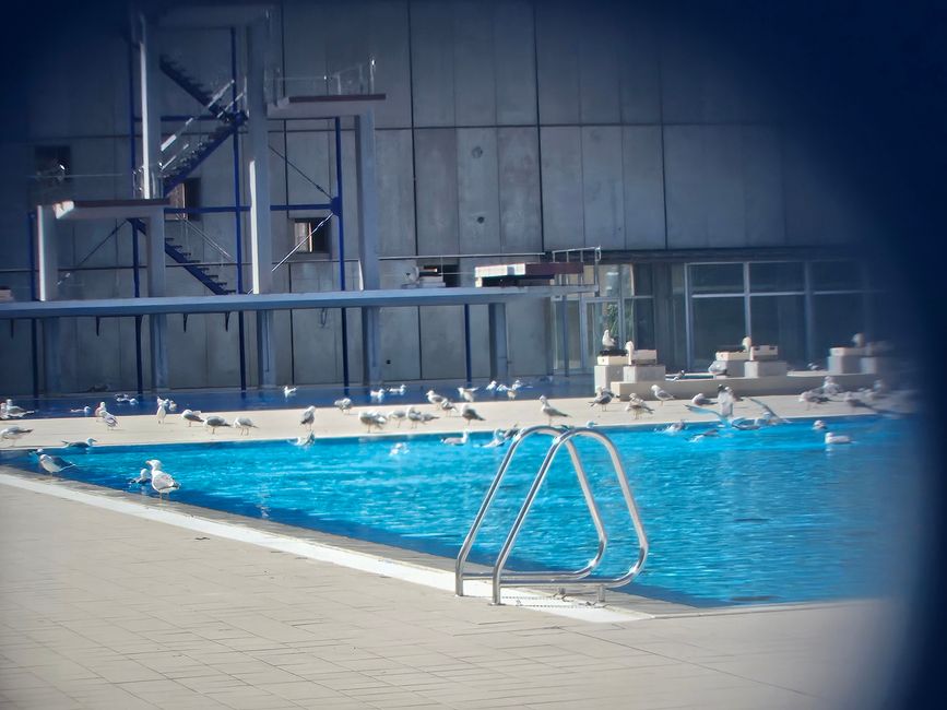 Piscina Municipal de Montjuïc