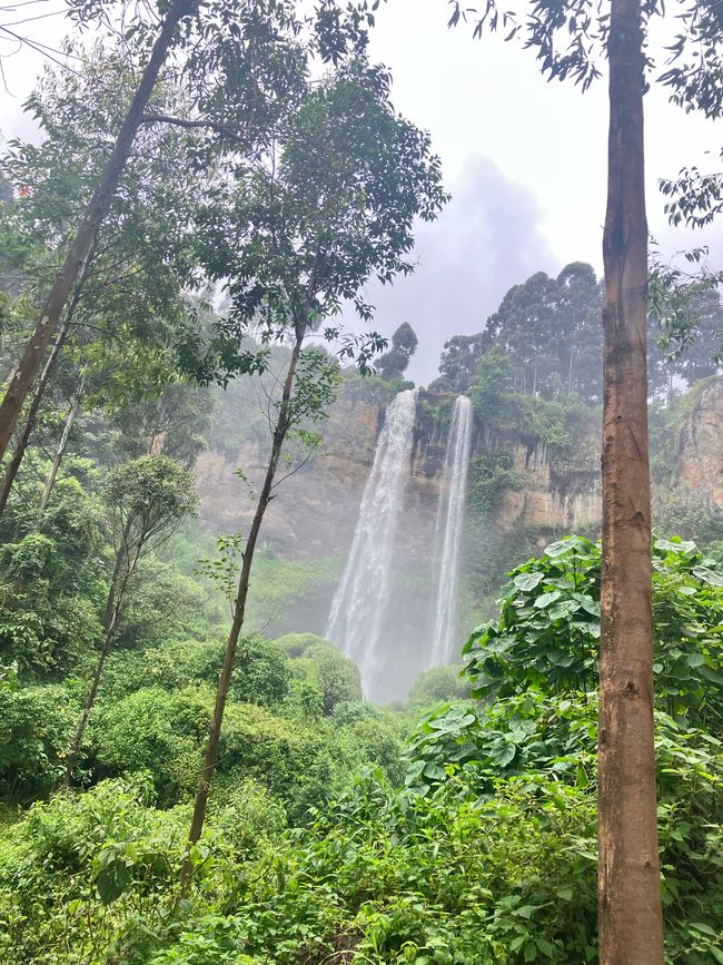 El Este en el Monte Elgon