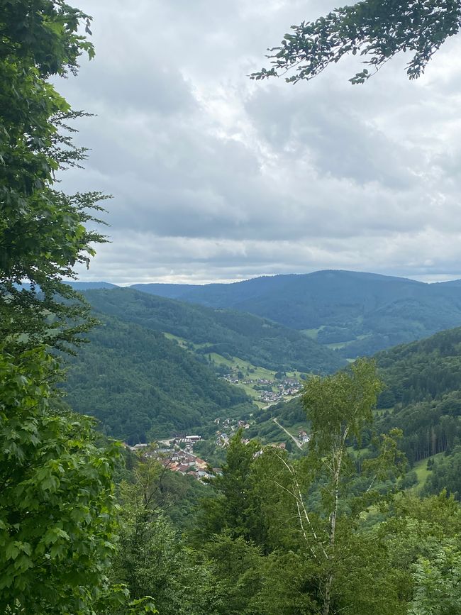 Blick auf Todtnau