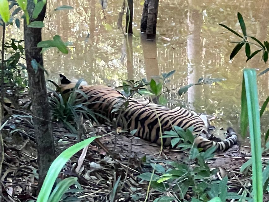 Tag 16 - Phu Quoc: Tierische Higloghts und glitzerndes Einhorn