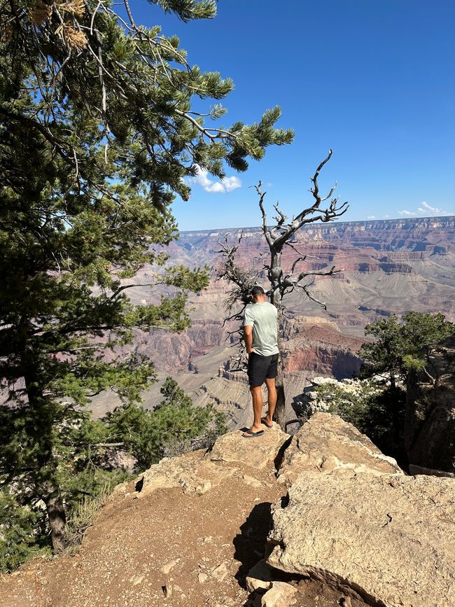 Lake Powell/ Horse Shoe/ Grand Canyon