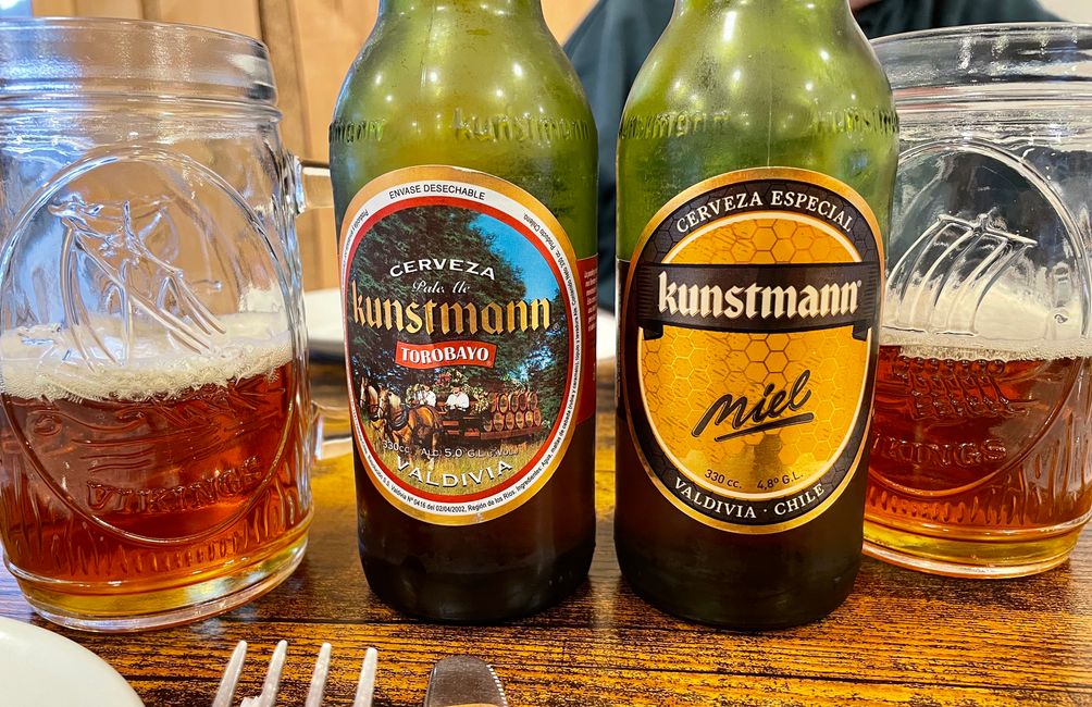 Deutsch Chilenische Geschichte
