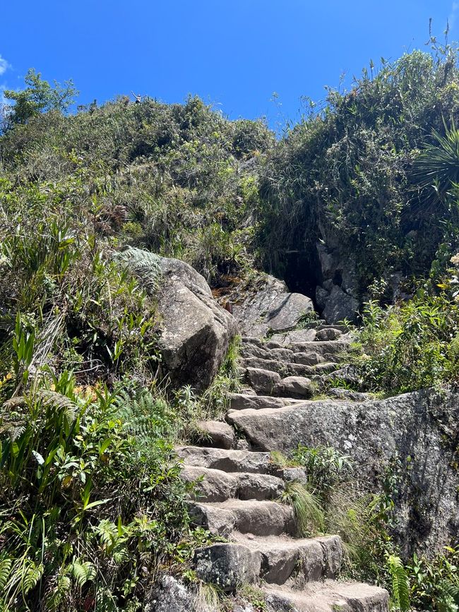 👷‍♂️标签 31-1 (3.11.) 马丘比丘，登上惠纳比丘山
