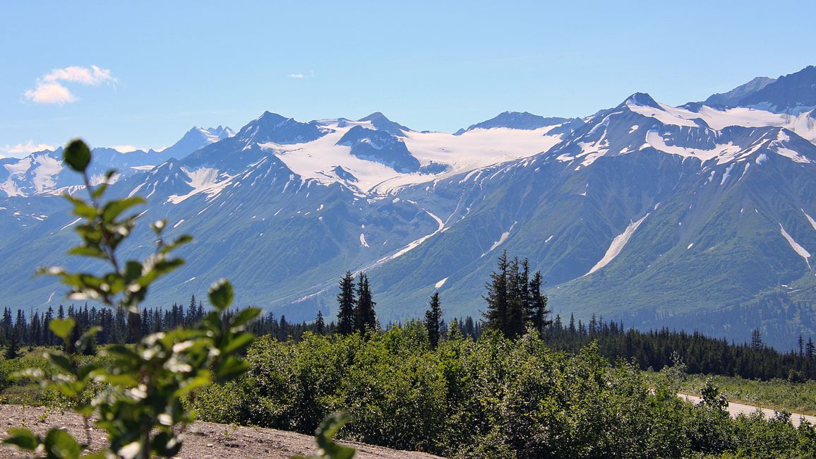 Tag 27: Bärenshow & fantastische Bergwelten - zurück nach Yukon/Kanada