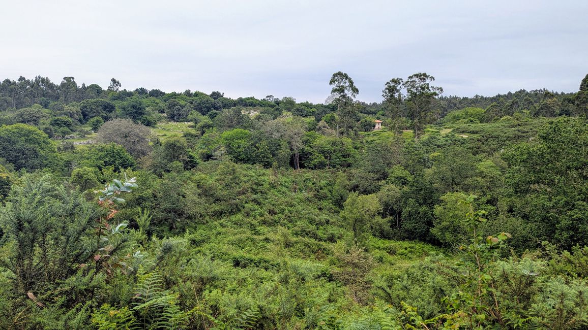 12. Etappe Camino del Norte von Pendueles nach Barro