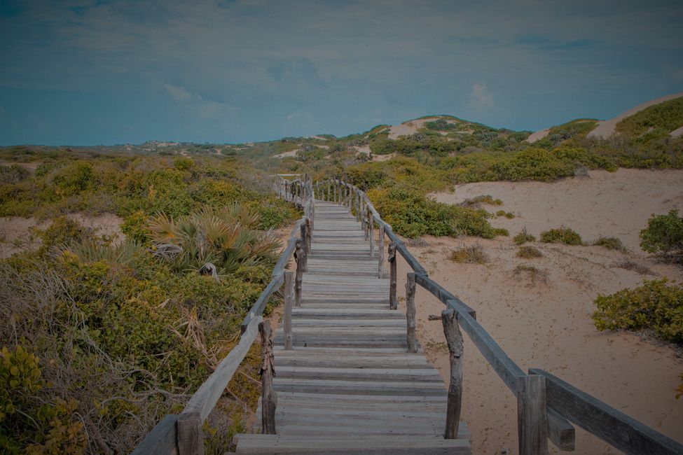 Treppe zum Meer - Insel Lamu