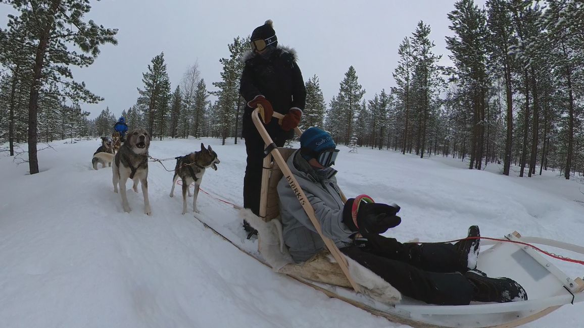 Day 11 Husky sledding & tobogganing fun in Saariselkä