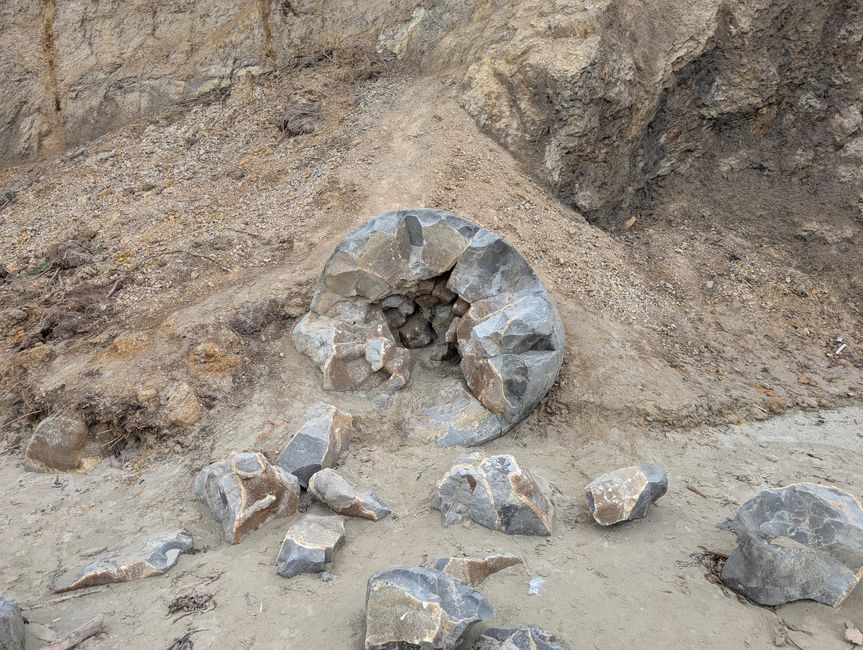 Moeraki boulder broken