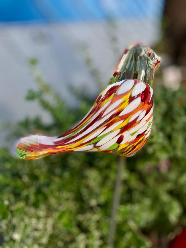 Cristalica: Where Lead Glass Does Not Gather Dust, But Seduces