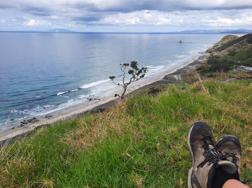 My absolute favourite: Mangawhai Cliffs Walk